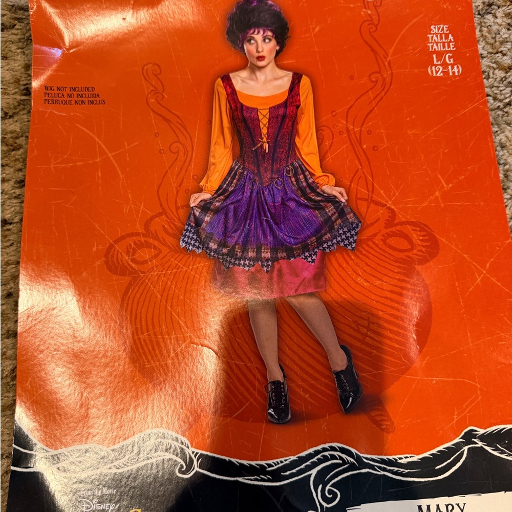 Disney Halloween Costume - Purple and Orange